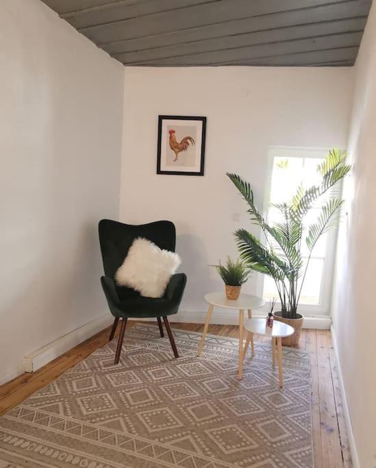 Apartment Mit Hist. Altstadt Charme