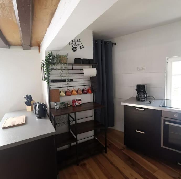Apartment Mit Hist. Altstadt Charme